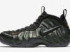 Nike Air Foamposite Pro Sequoia